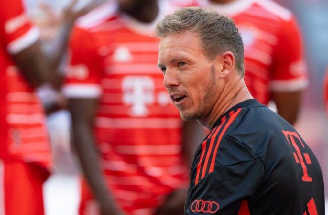 手机免费播放