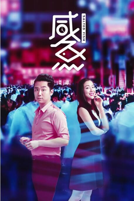 全集免费观看超清