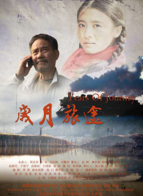 清晰在线播放观看