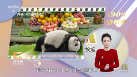 周海媚身穿深v白裙举手投足尽显性感风情。